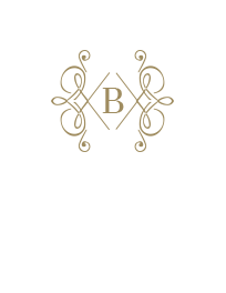 Belvedere Andros Logo